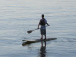 Alameda Boardsports - Paddleboarding